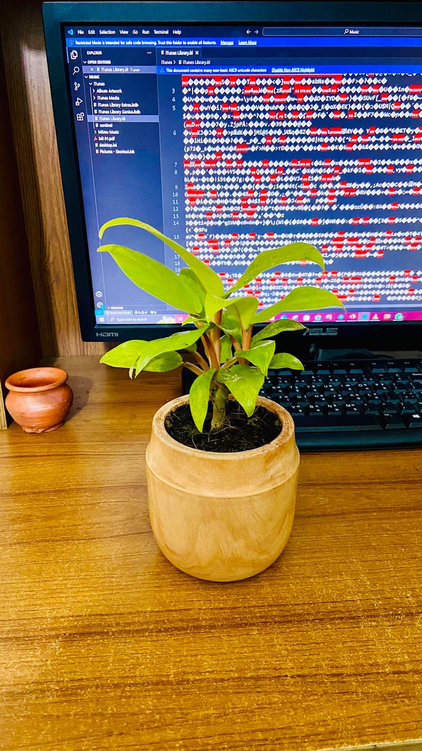 Lemon Lime With Wood Pot