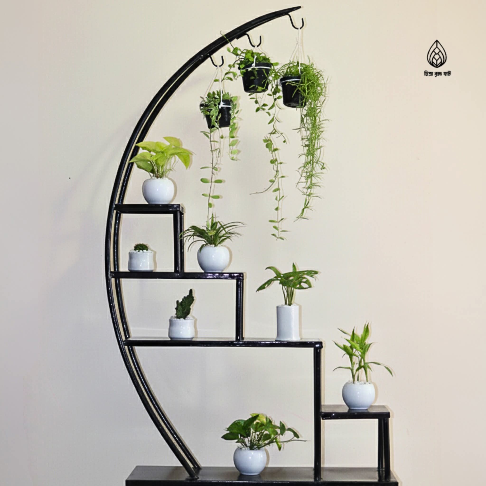 Moon Shape Stand with Plant
