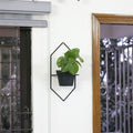 Wall hanger hexa