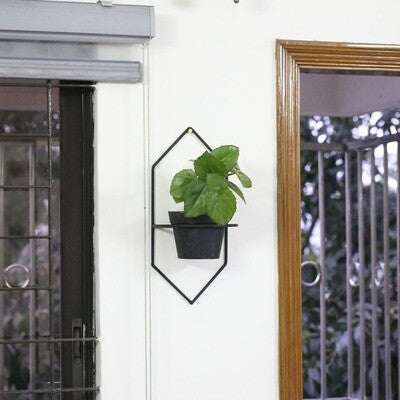 Wall hanger hexa