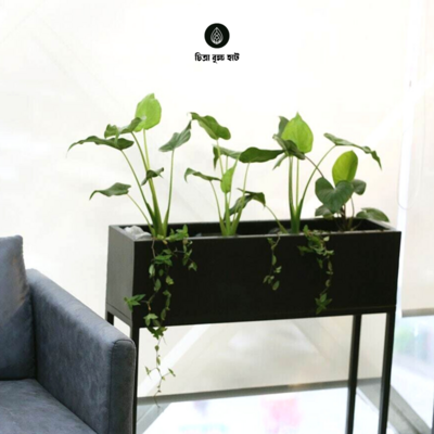 Walkway Black Metal Planter Rectangular