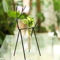 Deer Stand with Test Tube and Plants