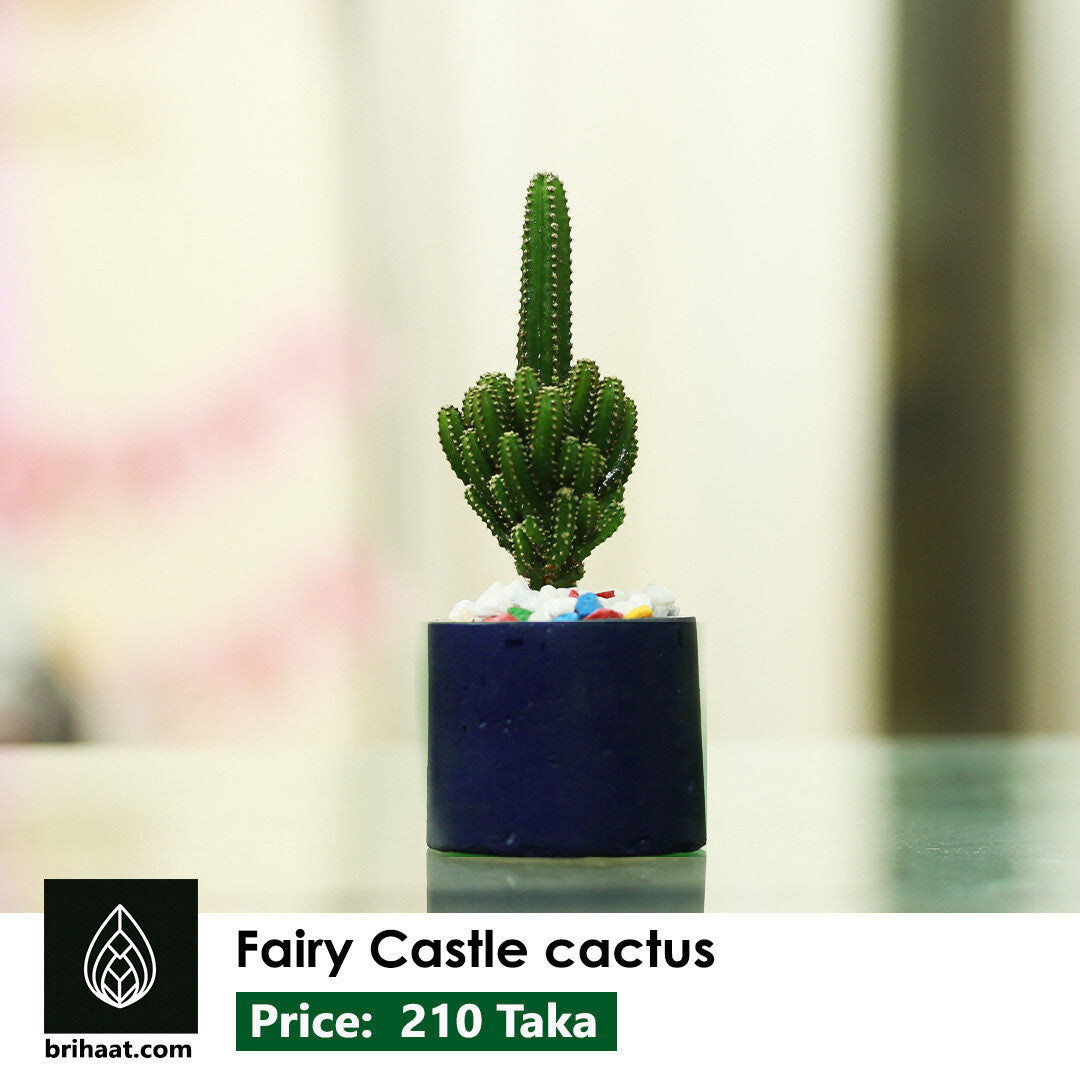 fairy castle in Black aesthtic