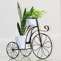Rickshaw With Indoor plants
