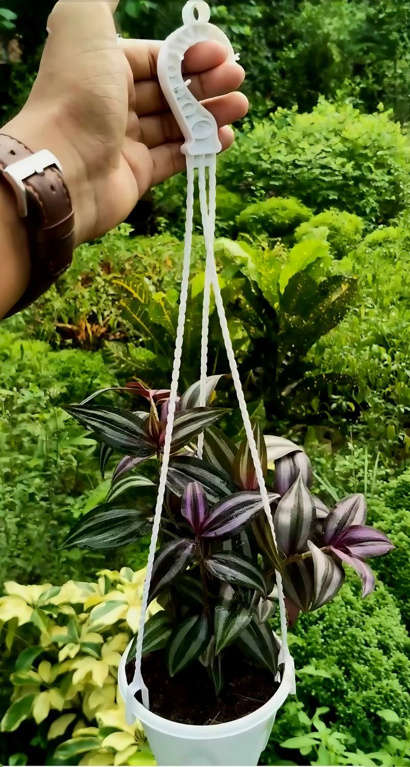 Zebra lota with hanging tub