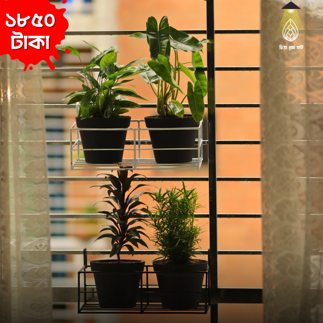 2 metal G H with 4 plants